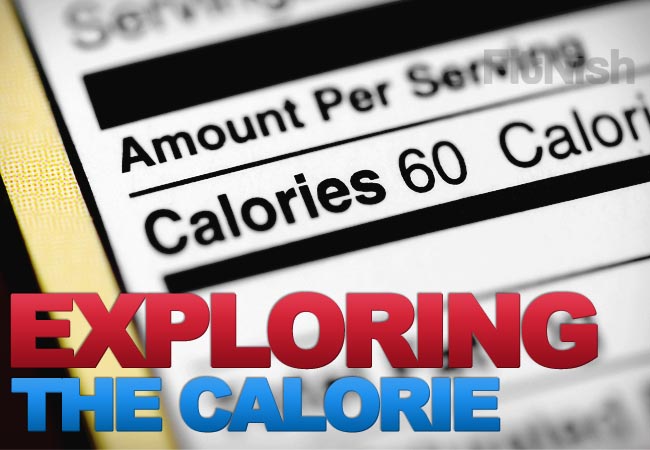 What Defines a Calorie