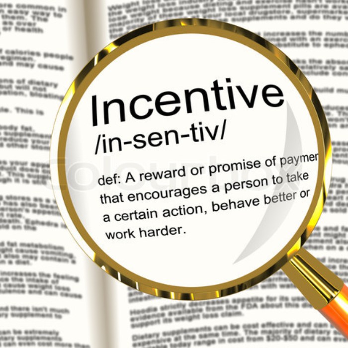 Define Incentive