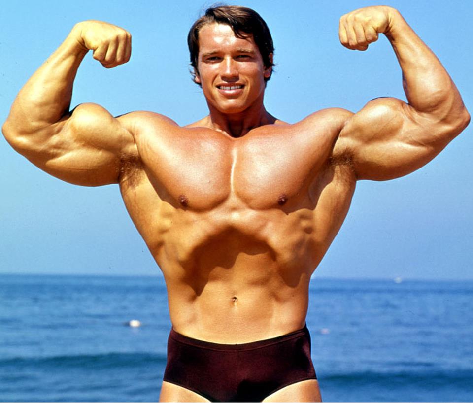 Arnold-Schwarzenegger posing1