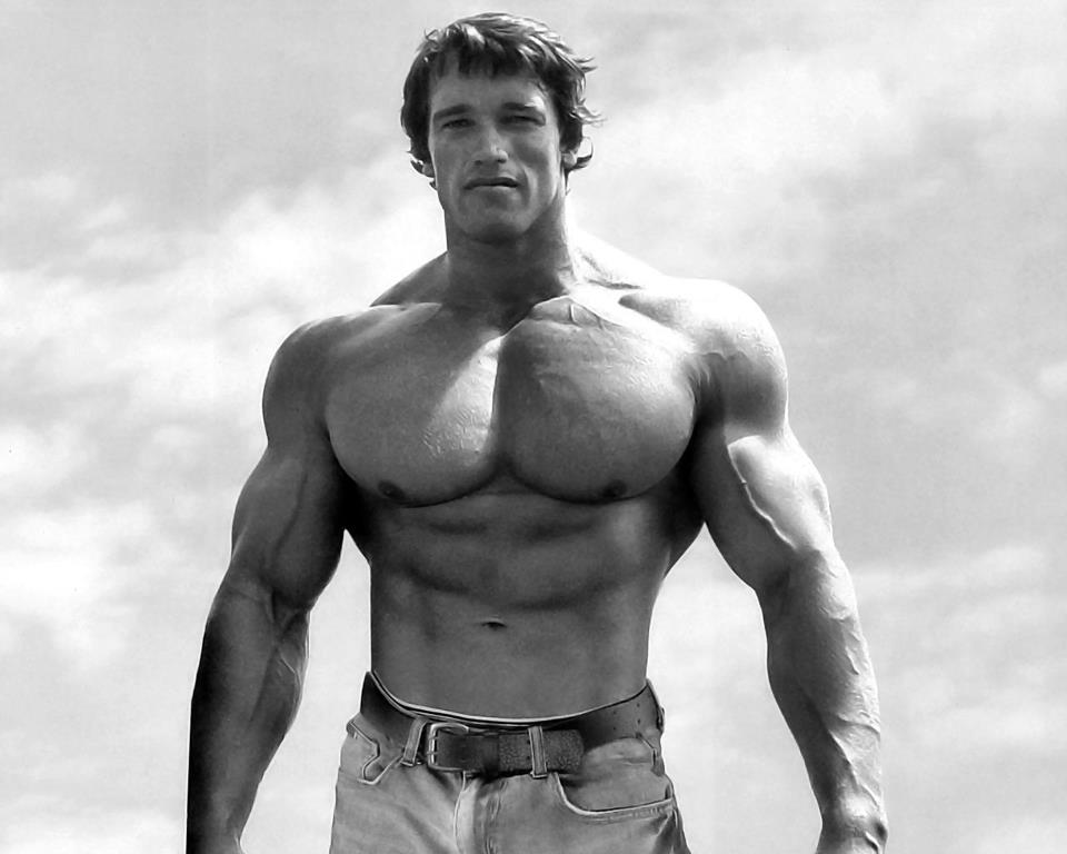 Arnold-Schwarzenegger posing10