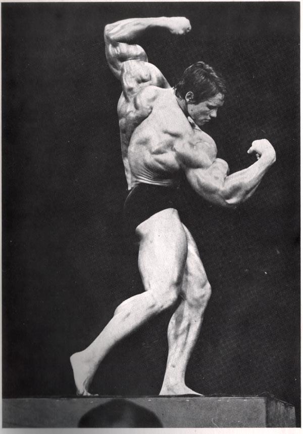 Arnold-Schwarzenegger posing4