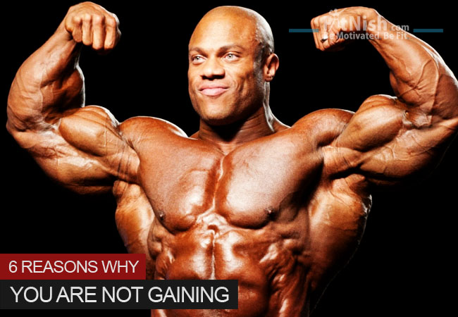 6 Reasons Why You Are Not Gaining