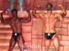 h-and-h-2013-bodybuilding-and-fitness-classic-juniors-09