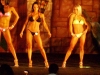 ifbb-hh-bodybuilding-and-fitness-classic-2012-womens-fitness-bikini-5