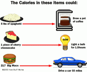 Calorie comparison