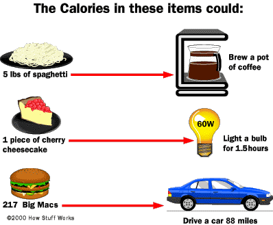 Calorie comparison