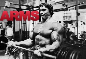 Arms Workout
