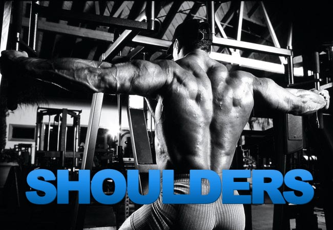 Shoulders Workout