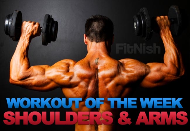 Shoulders and Arms Workout