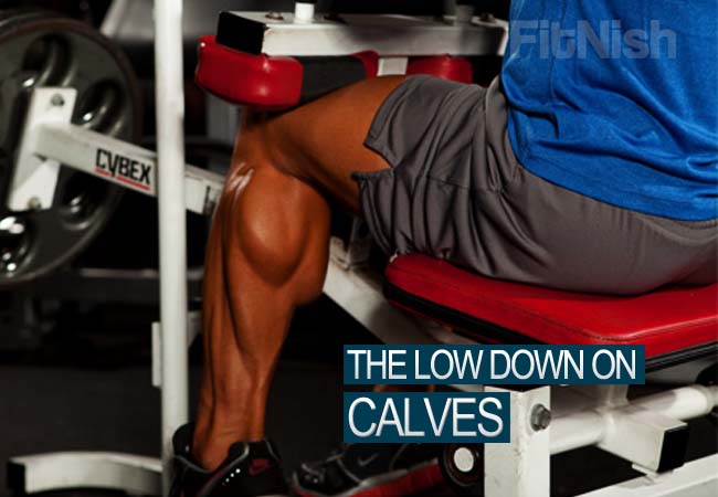 The Low Down on Calves and How Exactly To Train Them Effectively