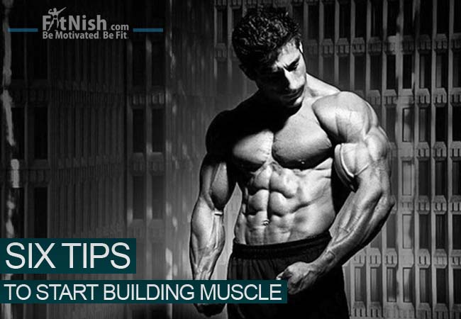 6 Tips To Start Building Muscle