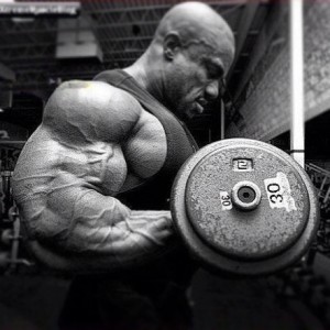 Phil Heath training Arms