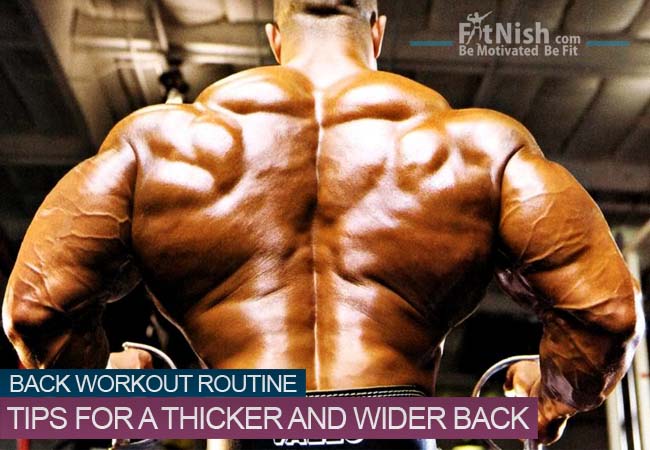 Tips For A Thicker And Wider Back, Back Workout Routine