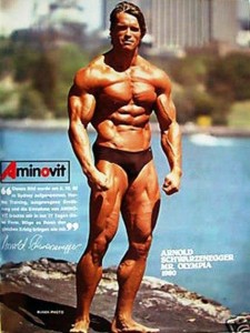 Arnold-Schwarzenegger posing3