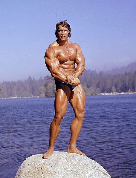 Arnold Schwarzeneggers son Joseph Baena recreated his dads famous pose   CNN