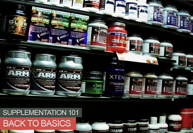 Supplementation 101 Back to Basics