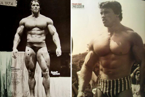 arnold schwarzenegger