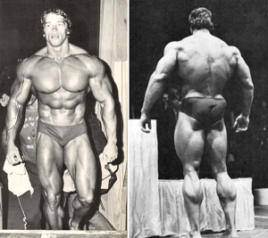 arnold schwarzenegger