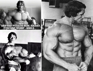 arnold schwarzenegger