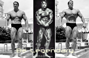 arnold schwarzenegger