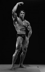 arnold schwarzenegger