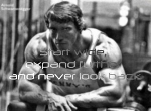 arnold schwarzenegger