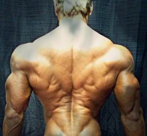 Fitnish.com Interview, New WBFF Pro Muscle Model, Jaco Moolman