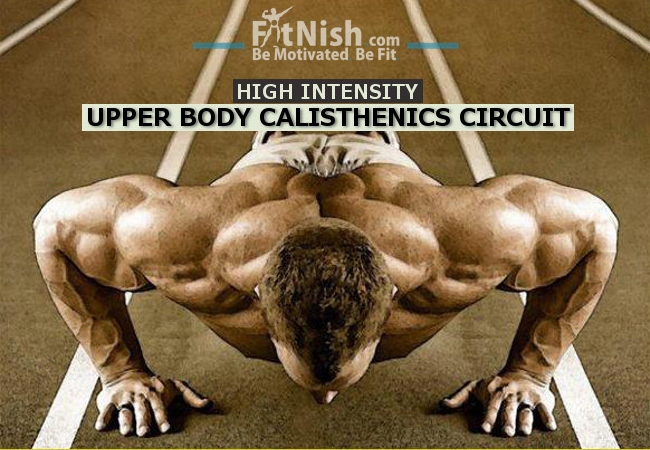 Upper body exercises online calisthenics