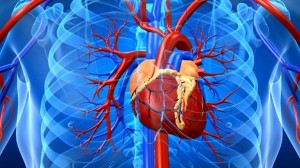 heart attack in 3d