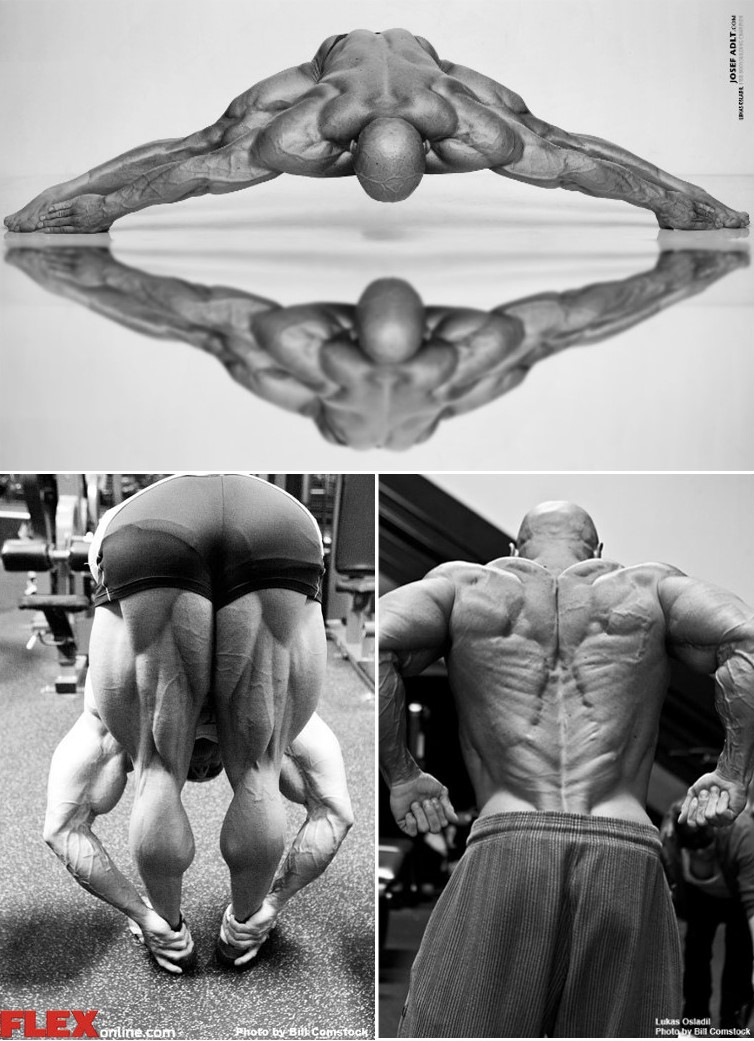 One One One With Fit And Flexible IFBB Pro Czech Bodybuilder, Lukáš Osladil