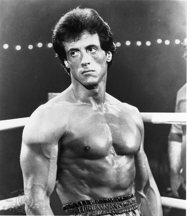Sylvester Stallone | Motivation Posters, Quotes & How He Became Rocky 
