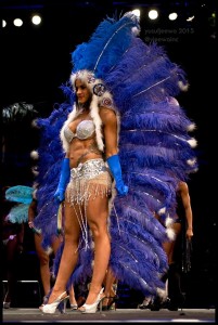 WBFF SOUTH AFRICA 2015 TOP 5 RESULTS AND PRO CARD WINNERS