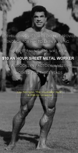 lou ferrigno facts story