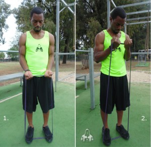 how to do band assisted bicep curls