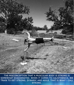 FitNish.com Interview With Calisthenics Enthusiast And RipCore Co Founder, Matt Curran
