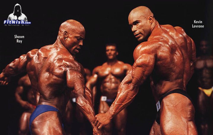 Shawn Ray Versus Kevin Levrone Fitnish Com