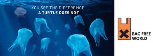 How Plastic Is Ruining The Environment, Animals... And Ourselves!