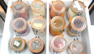 Two Adults, Two Kids, Zero Waste | by Bea Johnson