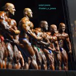 Best Of Arnold Classic South Africa 2017