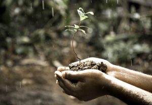 How To Compost Anywhere!
