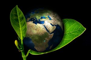 Is Going Green Really That Difficult?