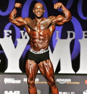 FLEX WHEELER Comeback