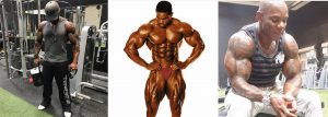 FLEX WHEELER Comeback