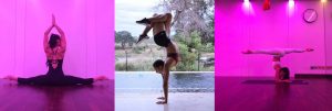 Quick Stretching And Core Workouts With Taz Falconer!