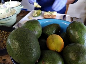 A Quick Look At The Oranjezicht City Farm Market, Cape Town