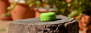 Why You Should Switch To Shampoo Bars! SA's Own Shampoo Bar Review
