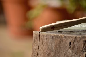 Why You Should Switch To Shampoo Bars! SA's Own Shampoo Bar Review