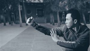 donnie yen ip man