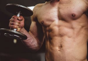 muscle weights fitness