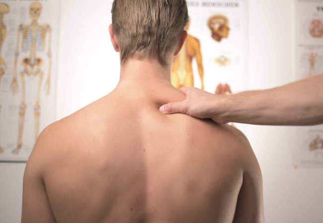 back pain muscle